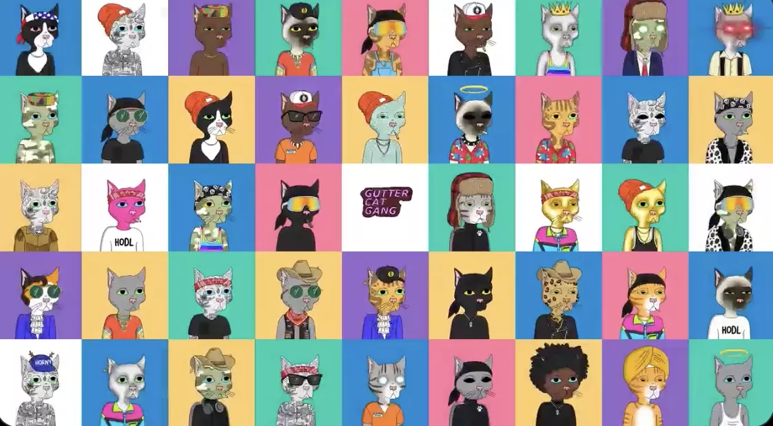 头号玩家：10+空投机会，早期项目的软手（带教程）3