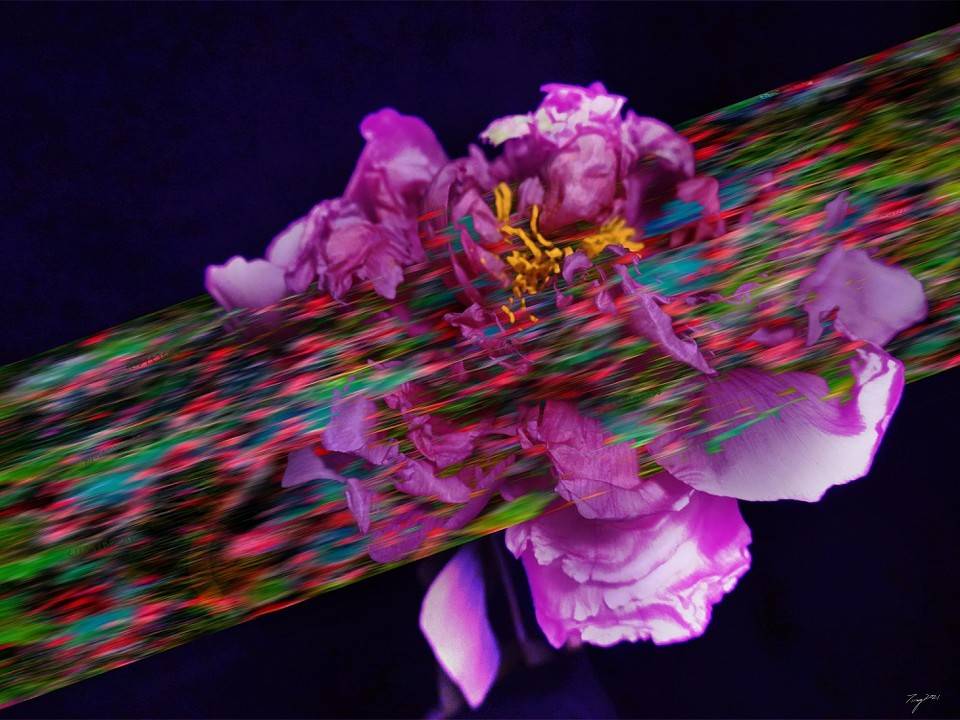 NFT:3位加密艺术家1