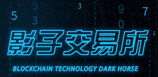 影子交易所DKC公链：一个中国人操纵的“黑暗网络基金”骗局！