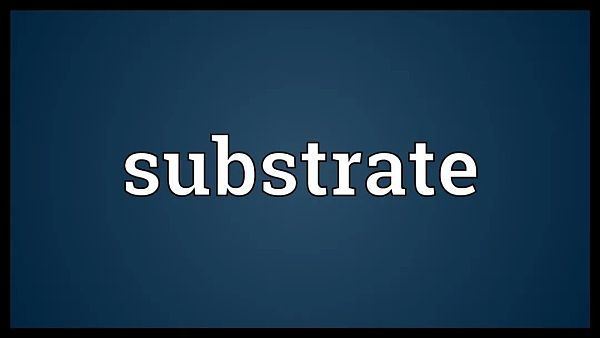 深度报道：博卡如何实现联盟链，其优势是什么？2