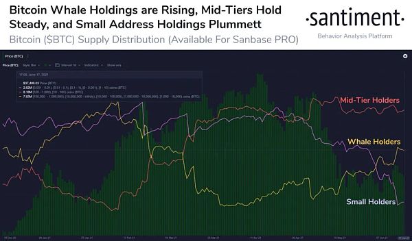 比特币35400美元的“死亡十字架”迫在眉睫,巨鲸仍在市场上3 比特币35400美元的“死亡十字架”迫在眉睫,巨鲸仍在市场上3