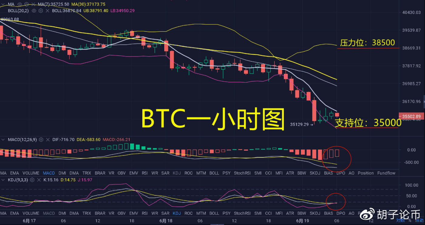 硬币上的胡子：晚上把握好重点，获得1100点，早上分析策略2