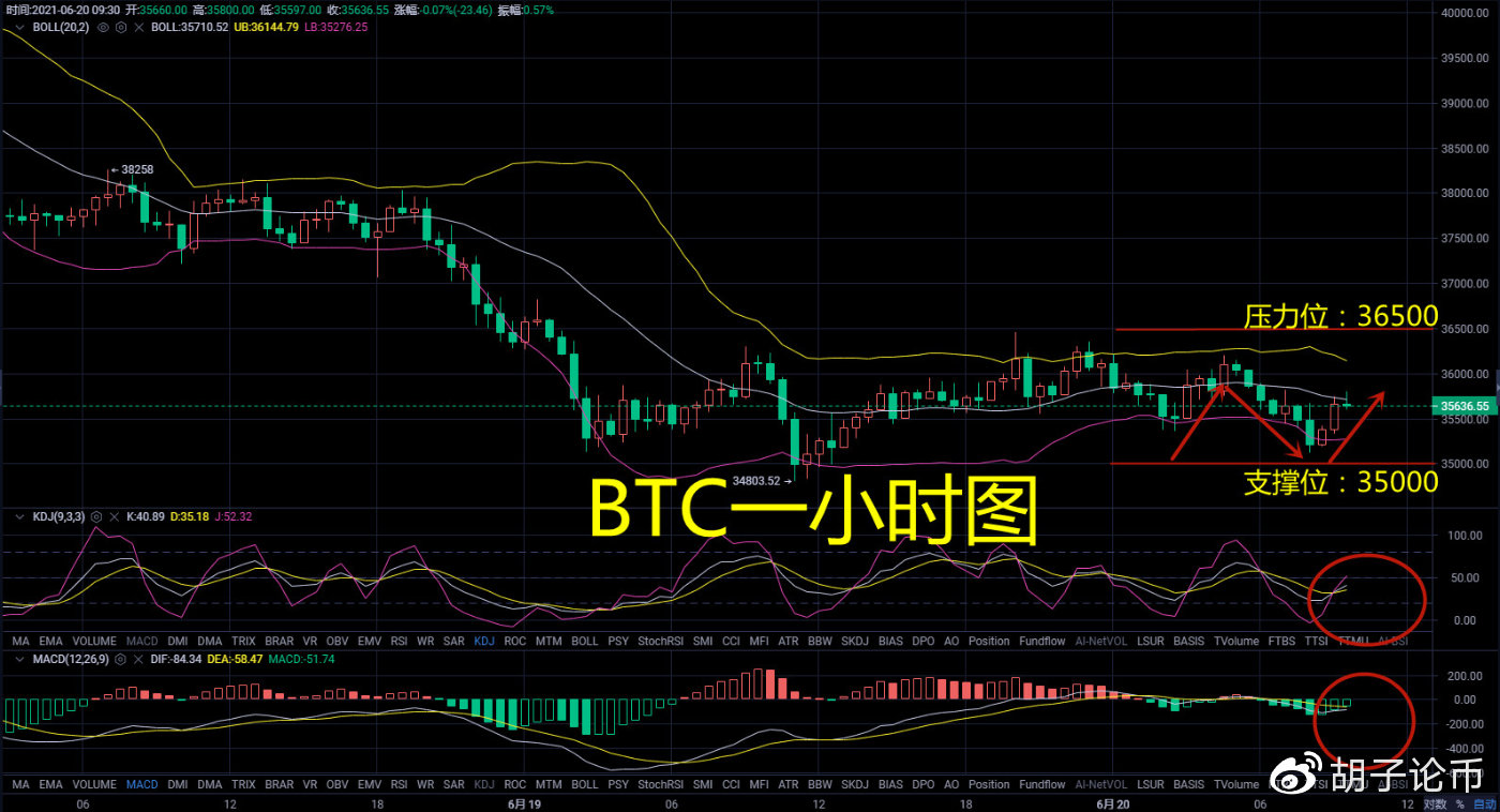 货币上的胡子：早上还会继续摇晃吗？牛市何时回归？晨间策略分析2