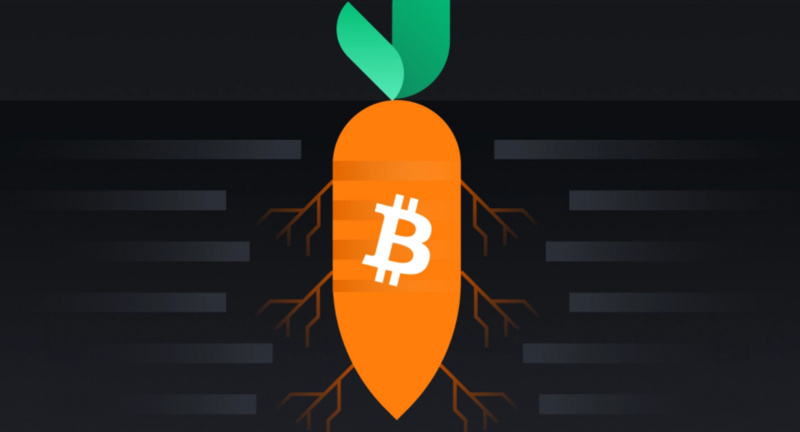 比特币4年来首次重要升级,带来了什么重大变化?2 比特币4年来首次重要升级,带来了什么重大变化?2