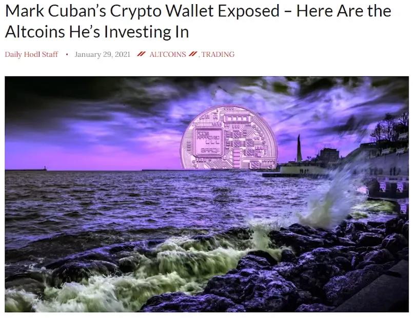 如何追踪鲸鱼？101钱包追踪指南6