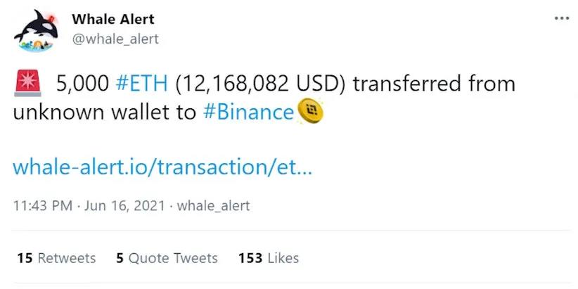 如何追踪鲸鱼？101钱包追踪指南11