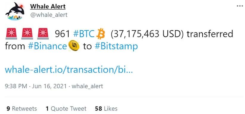 如何追踪鲸鱼？101钱包追踪指南16