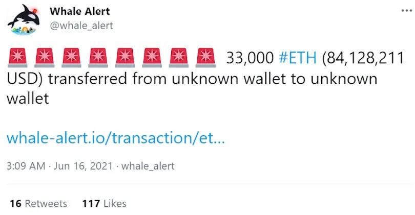 如何追踪鲸鱼？101钱包追踪指南18