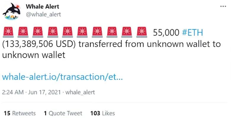 如何追踪鲸鱼？101钱包追踪指南20