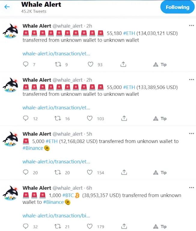 如何追踪鲸鱼？101钱包追踪指南22