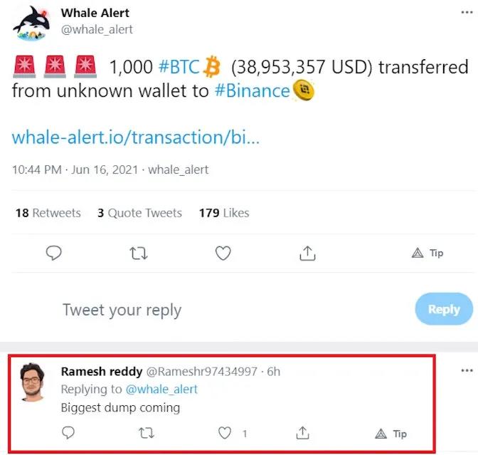 如何追踪鲸鱼？101钱包追踪指南27