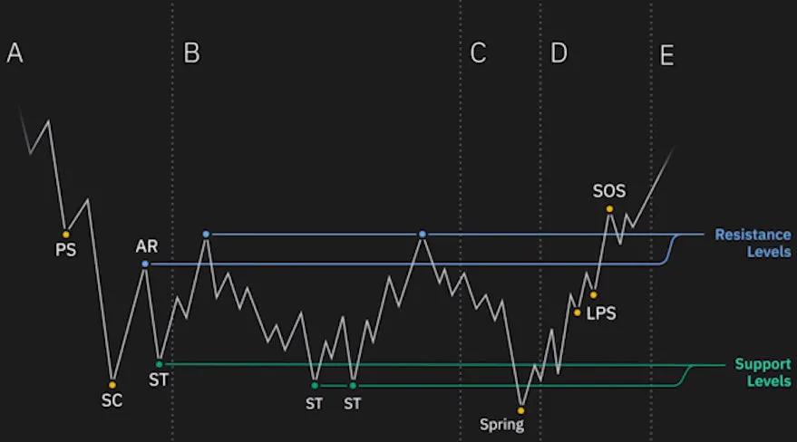 如何追踪鲸鱼？101钱包追踪指南46