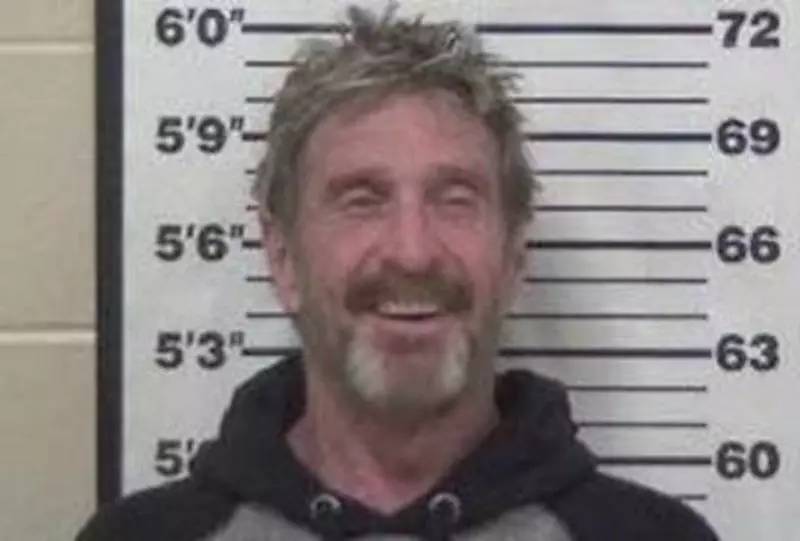 反病毒之父麦卡菲陷入了这个加密发起人的传奇人生1 反病毒之父麦卡菲陷入了这个加密发起人的传奇人生1