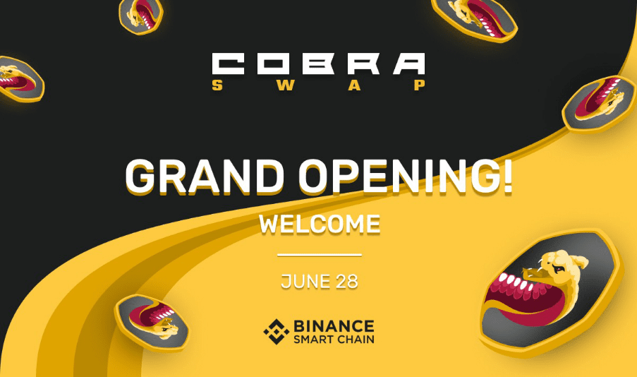 CobraSwap 是一个相当新的去中心化交易所 (DEX) 第一个自动做市商 (AMM)，市场上的最低汇率为 0,088%11