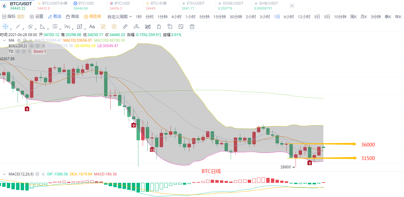 硬币圈中的陈凌云——比特币本月多次介入，市场该怎么走，未来在哪里