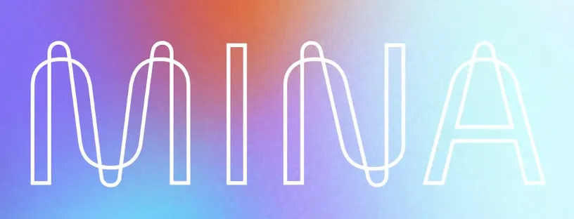 以Mina和Injective为例：分析风险投资中的种子轮和私募11