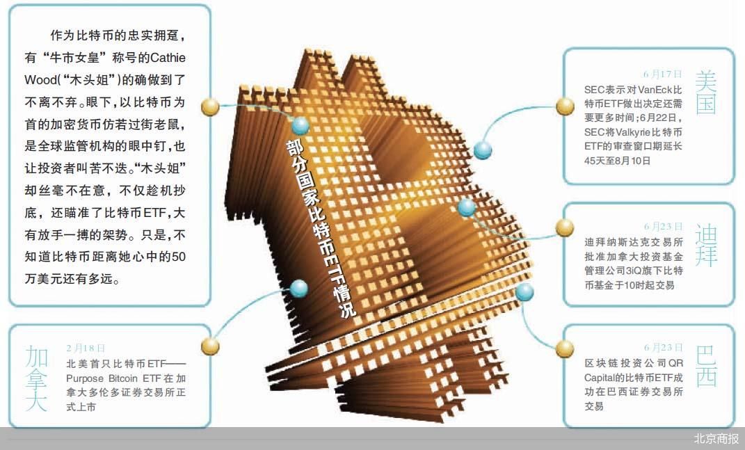 “牛市女皇”Cathie Wood为何钟情比特币？