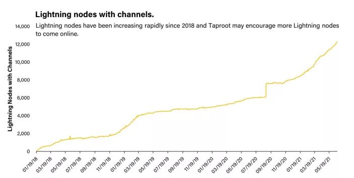从投资者视角全面洞察比特币Taproot升级3