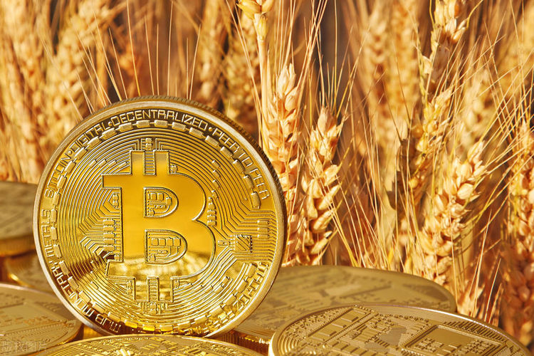 币圈万姐：日内延续震荡整盘，机遇如何？1