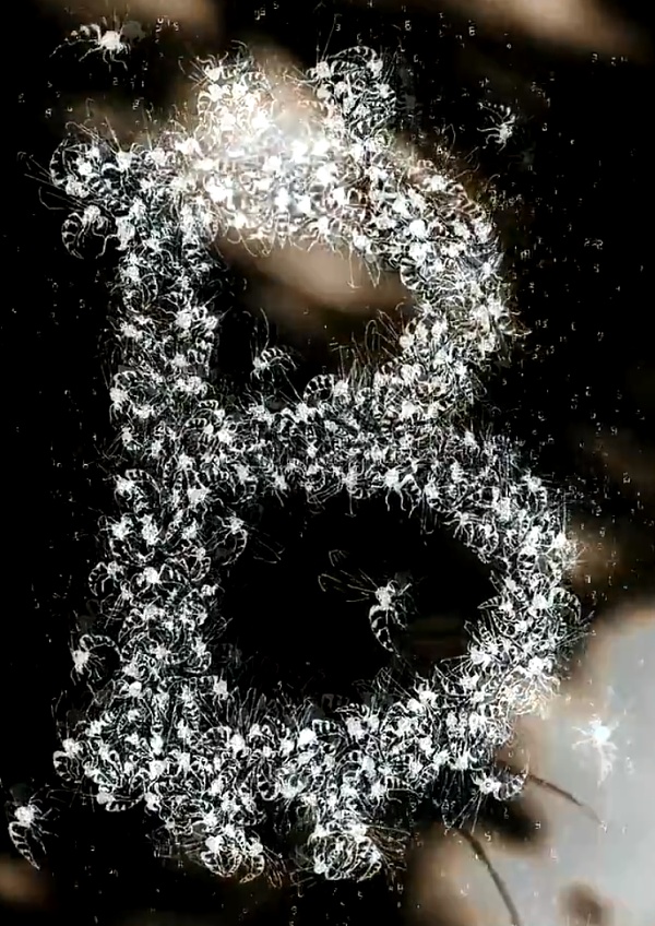 迈克尔·塞勒专攻哲学8