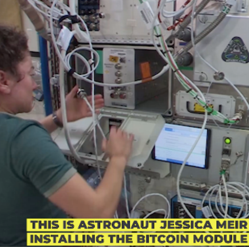 了解sdog nft如何让存储回归价值2