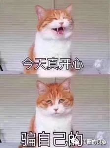 一块羊毛怎么样？现在是熊市！1