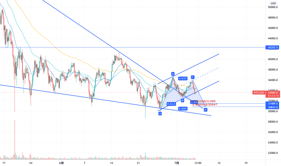 BTC潜在看涨伽利