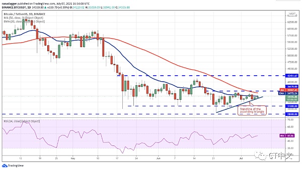 分析|山寨币价格上涨，下行趋势或将结束1