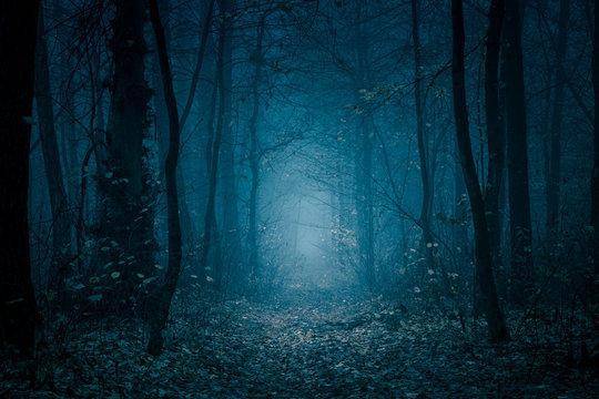 Messari：正确认识KeeperDao的工作机制