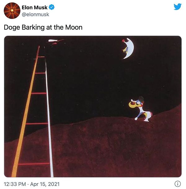 三个与狗狗币有关的人：一个退出了币圈，一个重新进了币圈，一个想上天4