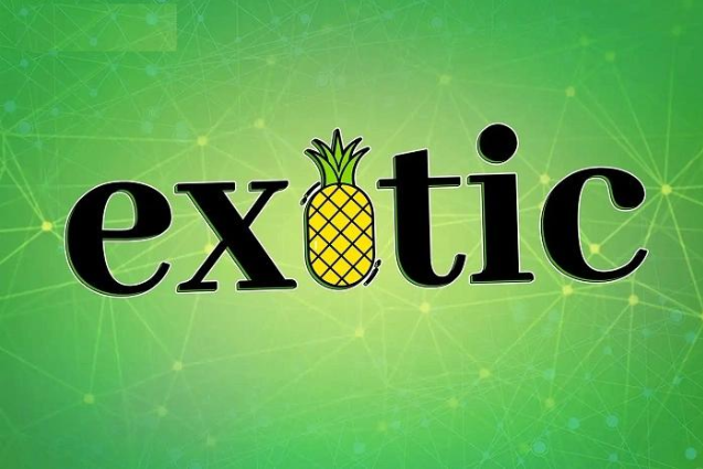 Exotic Markets：能成为加密圈的私人银行吗？