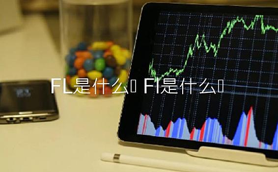 FL是什么币