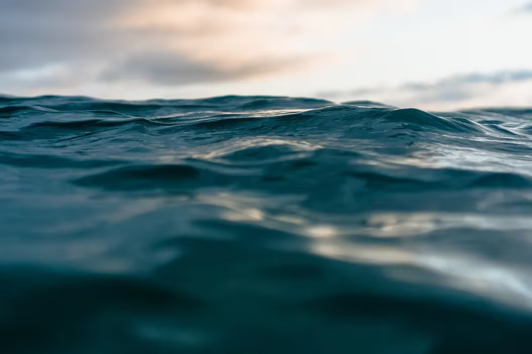 Liquid质押代币是2024年的热门货币 Liquid质押代币是2024年的热门货币