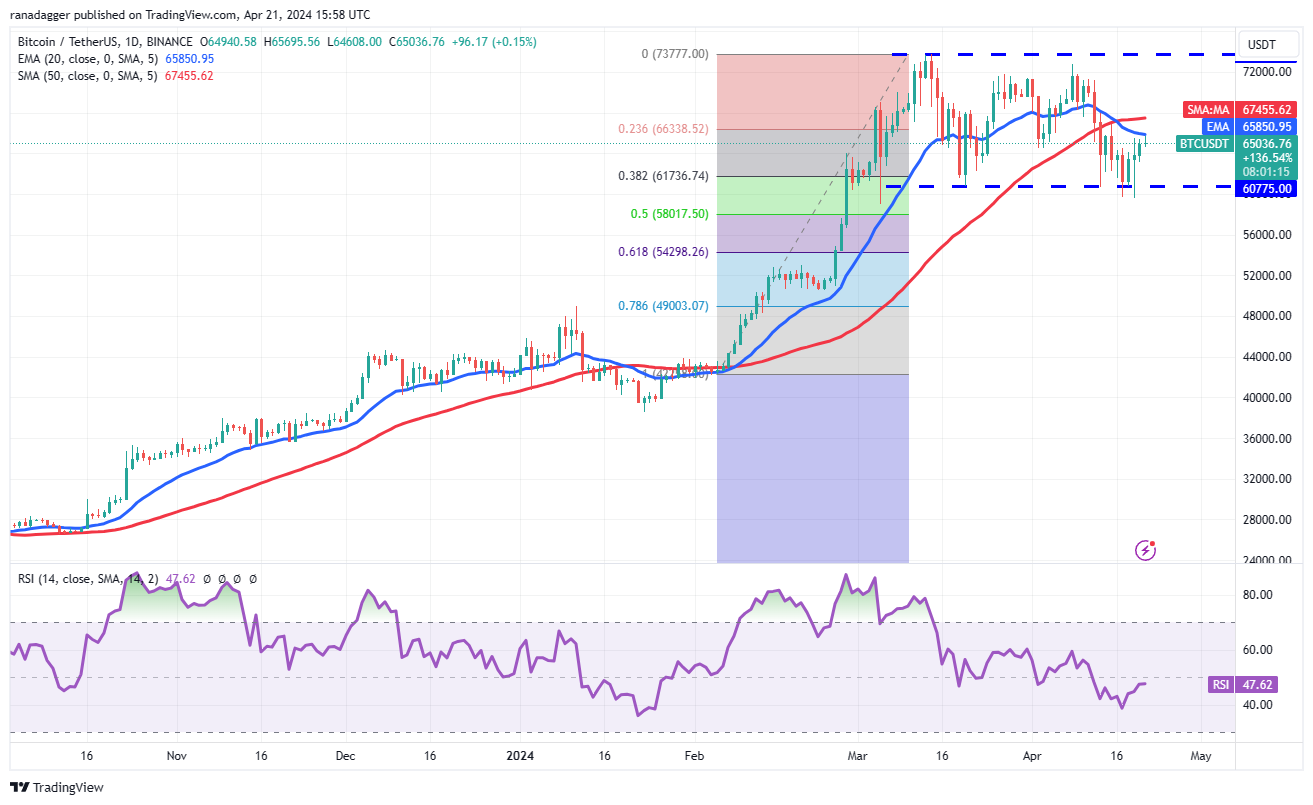比特币价格减半后转为看涨,BNB、NEAR、MNT 和RNDR会跟上吗?1 比特币价格减半后转为看涨,BNB、NEAR、MNT 和RNDR会跟上吗?1