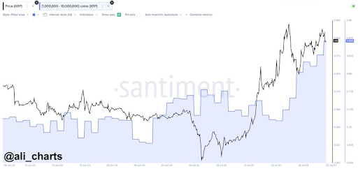瑞波币XRP巨鲸增持1.4亿枚,价值8400万美元 瑞波币XRP巨鲸增持1.4亿枚,价值8400万美元