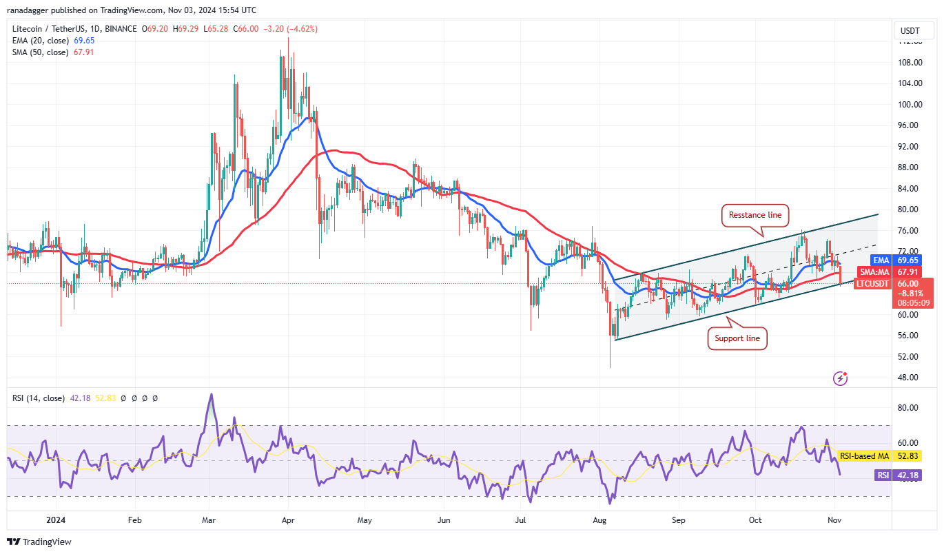 比特币行情似乎已经准备好反弹,ETH、DOGE、LTC 和XMR也是如此7 比特币行情似乎已经准备好反弹,ETH、DOGE、LTC 和XMR也是如此7