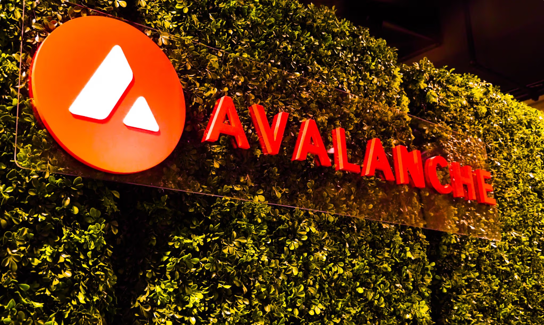 Avalanche区块链史上最大升级“Avalanche9000”现已上线 Avalanche区块链史上最大升级“Avalanche9000”现已上线