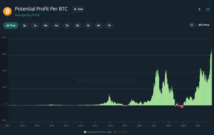 比特币投资者目前平均获利67000美元 比特币投资者目前平均获利67000美元