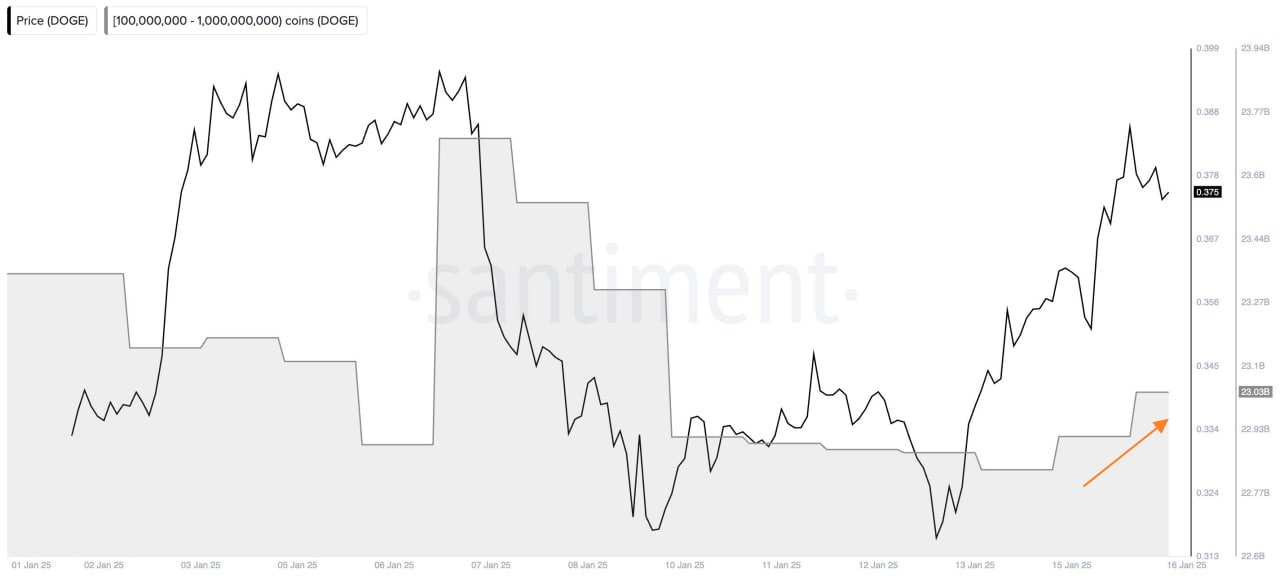 狗狗币价格涨到1美元?投资者称狗狗币可能在2月前上涨140%1 狗狗币价格涨到1美元?投资者称狗狗币可能在2月前上涨140%1