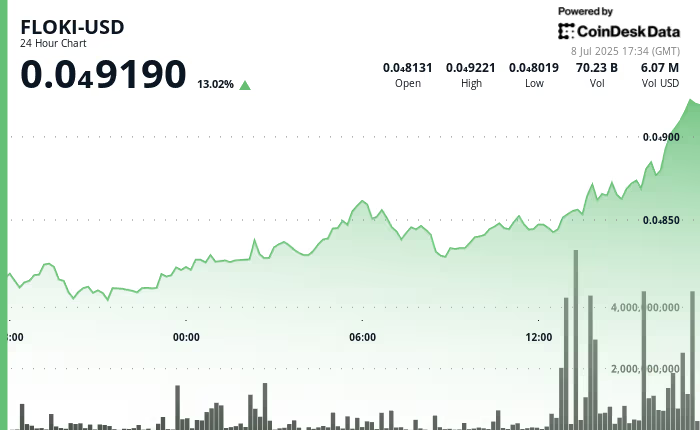 FLOKI币交易量暴涨12%,可能预示着看涨势头 FLOKI币交易量暴涨12%,可能预示着看涨势头