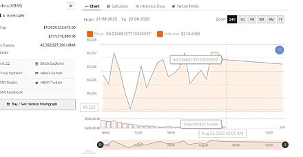HBAR币价格有望迎来爆发性反弹，2025年将被视为关键之年